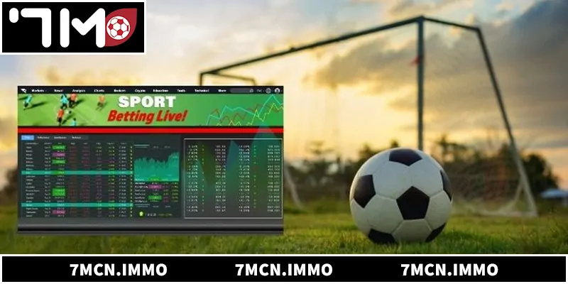 Tổng quan về chuyên mục bảng xếp hạng 7mcn